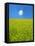 Rape Field-null-Framed Stretched Canvas