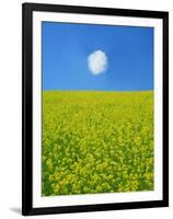 Rape Field-null-Framed Photographic Print