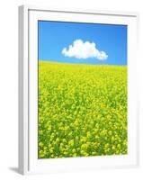 Rape Field-null-Framed Photographic Print