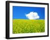 Rape Field-null-Framed Photographic Print