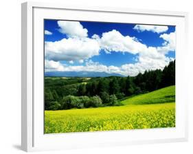 Rape Field-null-Framed Photographic Print