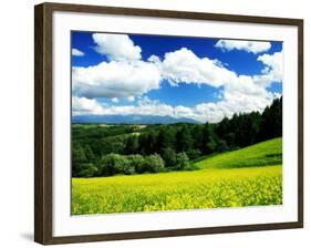 Rape Field-null-Framed Photographic Print