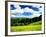 Rape Field-null-Framed Photographic Print