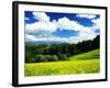 Rape Field-null-Framed Photographic Print