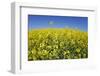 Rape Field-Herbert Kehrer-Framed Photographic Print