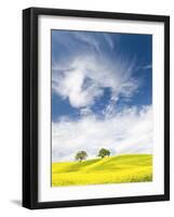 Rape Fields in Orcia Valley, Tuscany, Italy-Nadia Isakova-Framed Photographic Print