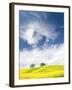 Rape Fields in Orcia Valley, Tuscany, Italy-Nadia Isakova-Framed Photographic Print