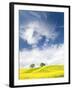 Rape Fields in Orcia Valley, Tuscany, Italy-Nadia Isakova-Framed Photographic Print