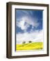 Rape Fields in Orcia Valley, Tuscany, Italy-Nadia Isakova-Framed Photographic Print