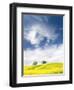 Rape Fields in Orcia Valley, Tuscany, Italy-Nadia Isakova-Framed Photographic Print