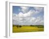 Rape Fields, Jutland, Denmark, Scandinavia, Europe-Yadid Levy-Framed Photographic Print