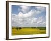 Rape Fields, Jutland, Denmark, Scandinavia, Europe-Yadid Levy-Framed Photographic Print