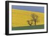 Rape Fields-null-Framed Photographic Print