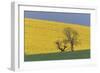 Rape Fields-null-Framed Photographic Print