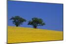 Wood Mount