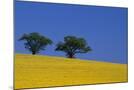 Wood Mount