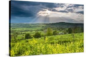 Rape in the Sudely Valley, Winchcombe, the Cotswolds, Gloucestershire, England-Matthew Williams-Ellis-Stretched Canvas