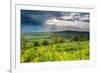 Rape in the Sudely Valley, Winchcombe, the Cotswolds, Gloucestershire, England-Matthew Williams-Ellis-Framed Photographic Print