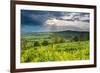 Rape in the Sudely Valley, Winchcombe, the Cotswolds, Gloucestershire, England-Matthew Williams-Ellis-Framed Photographic Print