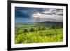 Rape in the Sudely Valley, Winchcombe, the Cotswolds, Gloucestershire, England-Matthew Williams-Ellis-Framed Photographic Print