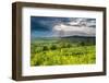 Rape in the Sudely Valley, Winchcombe, the Cotswolds, Gloucestershire, England-Matthew Williams-Ellis-Framed Photographic Print