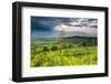 Rape in the Sudely Valley, Winchcombe, the Cotswolds, Gloucestershire, England-Matthew Williams-Ellis-Framed Photographic Print