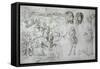 Rape of Europa, Lion's Heads, Archer, Sage, Skull, Drawing-Albrecht Dürer-Framed Stretched Canvas