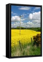 Rape Seed Field-Peter Thompson-Framed Stretched Canvas