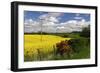 Rape Seed Field-Peter Thompson-Framed Photographic Print