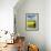 Rape Seed Field-Peter Thompson-Framed Photographic Print displayed on a wall