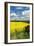 Rape Seed Field-Peter Thompson-Framed Photographic Print