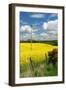 Rape Seed Field-Peter Thompson-Framed Photographic Print