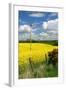 Rape Seed Field-Peter Thompson-Framed Photographic Print