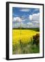 Rape Seed Field-Peter Thompson-Framed Photographic Print