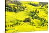 Rapeseed Farms in Niujie, Luoping-Nadia Isakova-Stretched Canvas