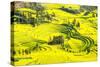 Rapeseed Farms in Niujie, Luoping-Nadia Isakova-Stretched Canvas