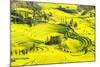 Rapeseed Farms in Niujie, Luoping-Nadia Isakova-Mounted Photographic Print