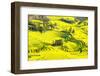 Rapeseed Farms in Niujie, Luoping-Nadia Isakova-Framed Photographic Print