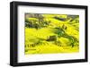 Rapeseed Farms in Niujie, Luoping-Nadia Isakova-Framed Photographic Print