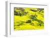 Rapeseed Farms in Niujie, Luoping-Nadia Isakova-Framed Photographic Print