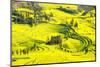 Rapeseed Farms in Niujie, Luoping-Nadia Isakova-Mounted Photographic Print