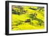 Rapeseed Farms in Niujie, Luoping-Nadia Isakova-Framed Photographic Print