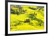 Rapeseed Farms in Niujie, Luoping-Nadia Isakova-Framed Photographic Print