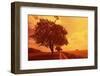 Rapeseed Field, Way, Trees Agriculture, Field Landscape, Field-Ronald Wittek-Framed Premium Photographic Print