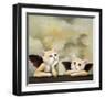 Raphael Cat-Chameleon Design, Inc.-Framed Art Print