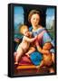 Raphael Madonna Aldobrandini Art Print Poster-null-Framed Poster