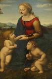 Madonna and Child with Saint John the Baptist (La Belle Jardinièr)-Raphael-Giclee Print