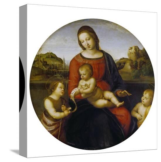 Stretched Canvas Print, , large