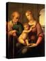 Raphael's Holy Family Painting-Bettmann-Stretched Canvas