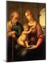 Raphael's Holy Family Painting-Bettmann-Mounted Giclee Print